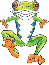 frog-single-min frog-single-min